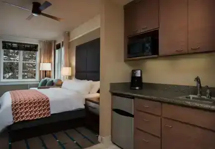 Marriott's Summit Watch - 5