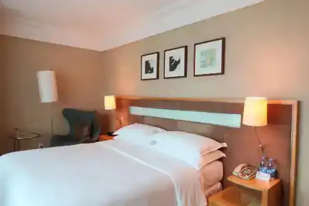 Four Points by Sheraton Shenzhen - 48