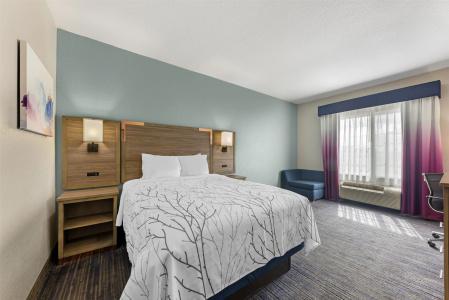Best Western Plus San Antonio East Inn & Suites - 50