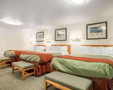 Rodeway Inn - 25