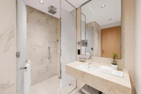 Adagio Premium The Palm - 54