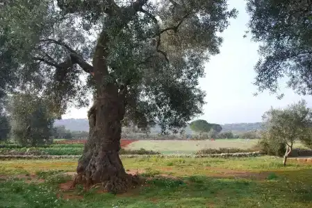 Terra di Leuca - 24