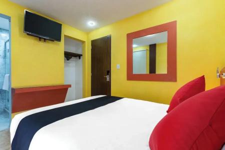 Ayenda Capital Df Inn - 16