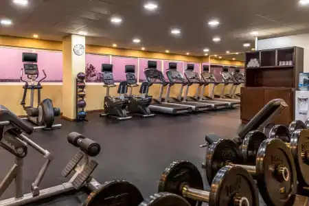 Four Points by Sheraton Queretaro Norte - 22