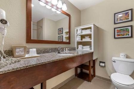 Comfort Suites Medical Center Near Six Flags - 10