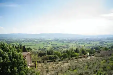 Belvedere - 60