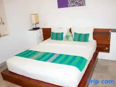 House Boutique Eco - 71