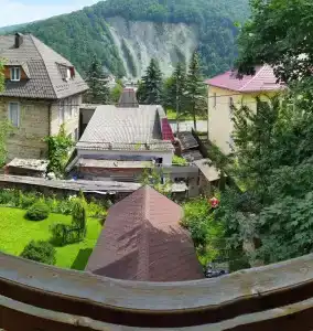Шафран - 6