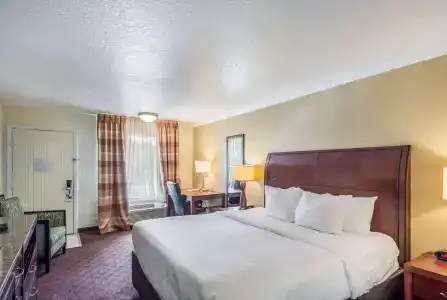 Clarion Inn & Suites Central Beach - 8