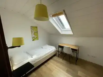 Boutique Pohorje - 20