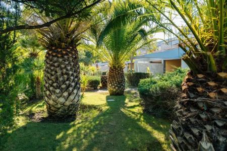 Residence Solemaremma - 34