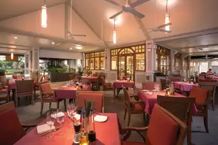Angsana Laguna Phuket - Sha Extra Plus - 44