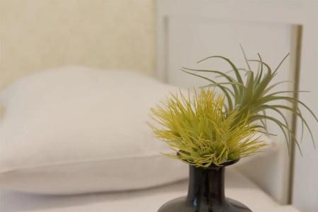 Pension Arpi - 27
