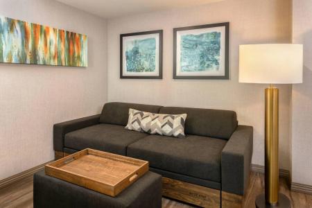 SpringHill Suites by Marriott San Diego Carlsbad - 16