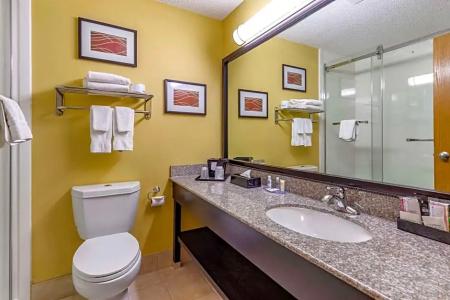 Comfort Inn & Suites - 55
