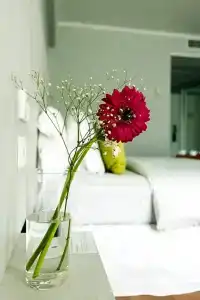 Pestana Buenos Aires - 126