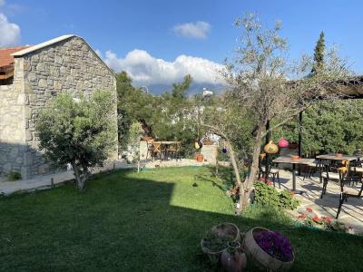 Sur7 Boutique - 14