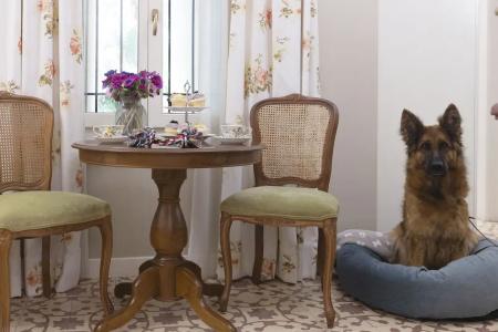 Gatto Perso Luxury Studio - 33