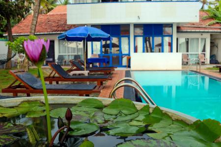 Edelweiss Resort - 7