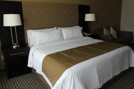 Holiday Inn Mexico Santa Fe, An Ihg - 4