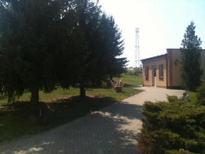 -Pension Am Mühlberg - 13