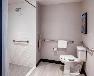 Hilton Garden Inn Austin University Capitol District, Tx - 9