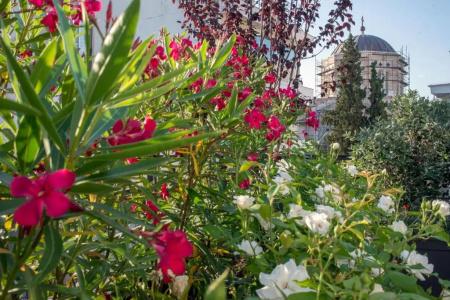 Kimon Athens - 64