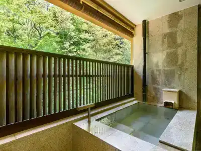 Hakone Suishoen - 13