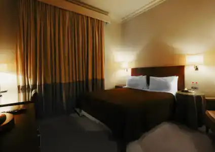 Royal Garden - 14