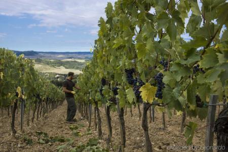 Castello di Velona - The Leadings of the World - 25