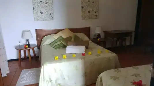 Mango Lodge - 3