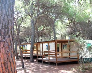 Camping Village Il Sole - 16
