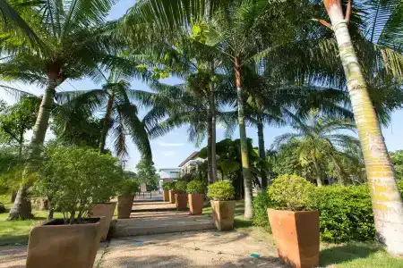 Chiang Rai Park Resort - 15