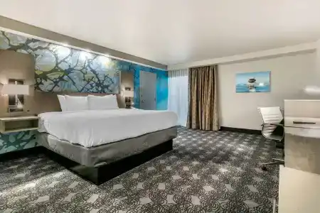 Clarion Inn - 55