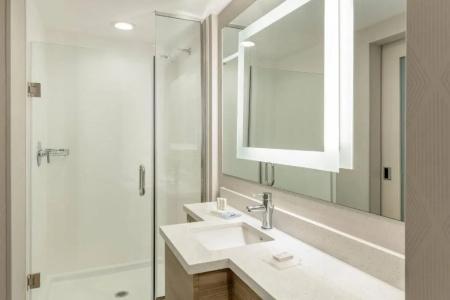 SpringHill Suites by Marriott San Diego Carlsbad - 21