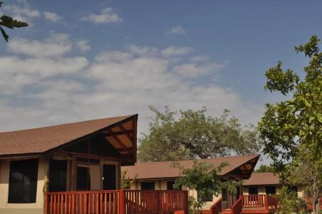 Balloon Camp Tarangire - 24