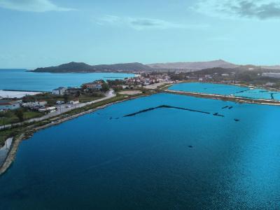 Aphrodite Studios & Suites - 4
