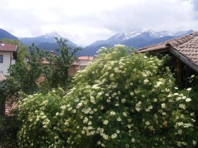 Todeva House and Tavern - 25