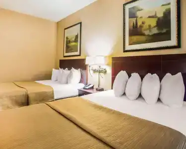 Quality Inn & Suites - 36