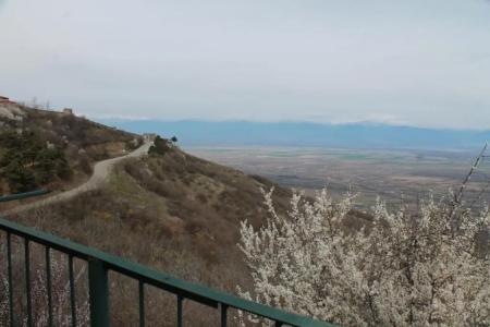 Guest House Shota - 25