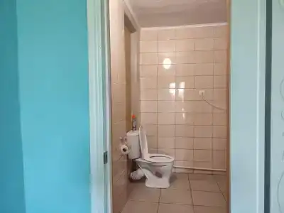 Базилик - 19