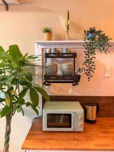 Fox-Box Dresden - 45