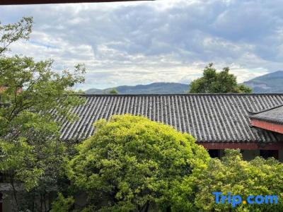 Conifer Lishui Sunlight - 44