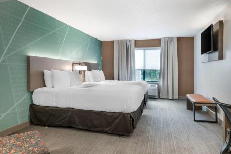 Wingate by Wyndham - 55