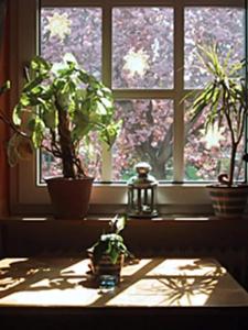 Rosengarten - 3