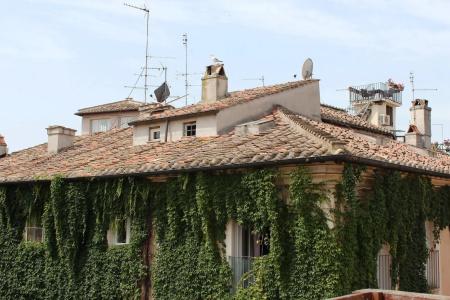 Coronari Palace - 0