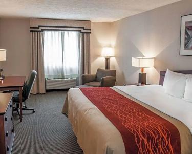 Comfort Inn Indianapolis South I-65 - 28