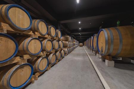 Winery & Design Roxanich - 23
