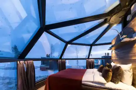 Arctic Fox Igloos - 30