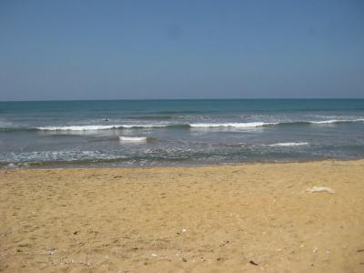 Blue Spring - 14
